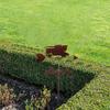 QHYXT Tractor Weather Vane for Outdoor Roof Mounting view 2