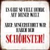 DekoDrom Metal Sign 8 x 12 in. – There Are So Many Dogs in the World, but We Have the Best Saying view 1