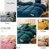All-Season Queen-Size Duvet with Down Alternative Filling, Quilted, Soft, Warm, Fluffy, Breathable, Lightweight, with Corner Ties view 4