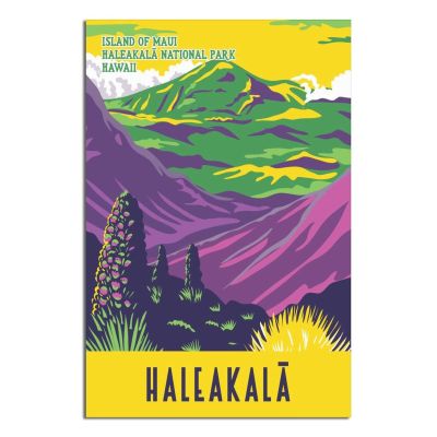 Haleakalā National Park Volcano, Hawaii Vintage Travel Poster, Canvas Wall Art, 30 x 45 cm