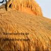 Pealihuy Artificial Mexican Thatch Roofing for Tiki Bars view 2