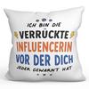Mugffins Pillow with Filling for Influencer – "They All Warned You" – 40 x 40 cm – Original and Funny Employee Gift view 1