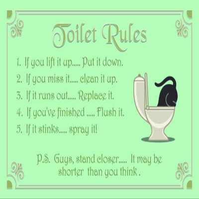 DekoDrom Metal Sign 20 x 30 cm Toilet Rules Wall Decor