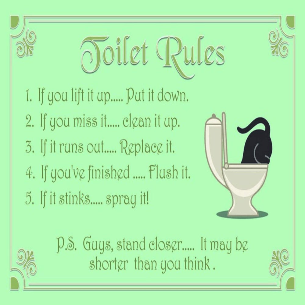 DekoDrom Metal Sign 20 x 30 cm Toilet Rules Wall Decor
