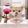 Chickwin Cozy Flannel Fleece Blanket, Dog Print, Rose Flower, 180 x 200 cm view 1