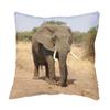Fabulous Sequin Pillow Cover, Gold African Elephant Savannah Wildlife Photo view 3