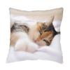Fabulous Black European Calico Cat Sequin Pillowcase view 3