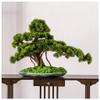 Small Artificial Welcome Pine Bonsai with Pot, Size A view 1