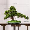 Small Artificial Welcome Pine Bonsai with Pot, Size A view 2