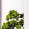 Small Artificial Welcome Pine Bonsai with Pot, Size A view 3