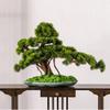 Small Artificial Welcome Pine Bonsai with Pot, Size A view 4