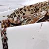 3-Piece Queen Duvet Cover Set, Breathable Tencel, Leopard Print view 3