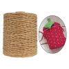 MOLUO 328-Yard Raffia Paper Twine Roll, Natural Recyclable Cord for Wrapping and Crafts view 3