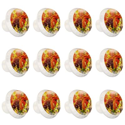 12 White Round Drawer Knobs for Autumn, Grapes, Fruit and Vines