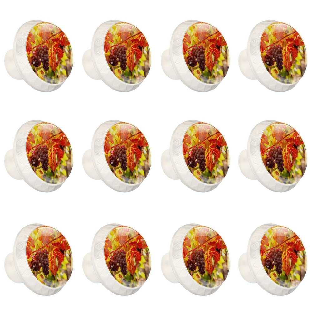 12 White Round Drawer Knobs for Autumn, Grapes, Fruit and Vines