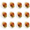 12 White Round Drawer Knobs for Autumn, Grapes, Fruit and Vines view 1