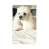 French Poodle Single Toggle Switch Wall Plate, Wall Decor, 7.9 x 11.4 cm view 1