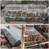 HUHJYUGE Transparent PVC Tarp with Eyelets, 1.2 x 2 m view 2