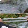HUHJYUGE Transparent PVC Tarp with Eyelets, 1.2 x 2 m view 3