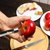 Stainless Steel Apple and Pear Corer with ABS Handle view 2