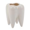 Tbkoly Tooth-Shaped White Ceramic Flower Pot, Modern Teeth Design, Mini Desktop Planter, Creative Gift (Plant Not Included) view 1