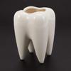 Tbkoly Tooth-Shaped White Ceramic Flower Pot, Modern Teeth Design, Mini Desktop Planter, Creative Gift (Plant Not Included) view 2