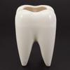 Tbkoly Tooth-Shaped White Ceramic Flower Pot, Modern Teeth Design, Mini Desktop Planter, Creative Gift (Plant Not Included) view 3
