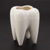 Tbkoly Tooth-Shaped White Ceramic Flower Pot, Modern Teeth Design, Mini Desktop Planter, Creative Gift (Plant Not Included) view 4