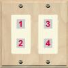 RiteAV Custom Wall Plate with 4 Ports (2-Gang, Wood/Light Almond) view 1