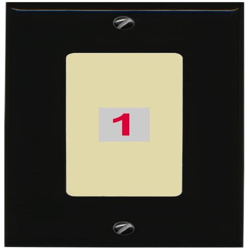 RiteAV Custom Wall Plate with 1 Port (1-Gang, Black/Ivory)