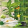 A.Monamour Self-Adhesive Door Wallpaper, 3D Green Bamboo, White Flowers, Butterfly and Black Spa Stones on Water, Zen Vinyl Mural, 95 x 215 cm view 1