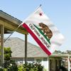 California State Flag, Republic of California, 3 x 5 in, Double-Sided Bear Flag, Durable 3-Layer Polyester with 2 Metal Grommets and 4 Rows of Stitching view 2