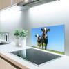 MuchoWow Kitchen Backsplash, Aluminum Poster, 90 × 45 cm, Cows on a Farm view 2
