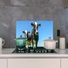 MuchoWow Kitchen Backsplash, Aluminum Poster, 90 × 45 cm, Cows on a Farm view 4