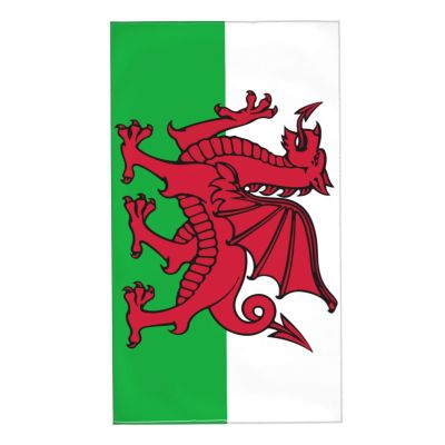 AOOEDM Welsh Flag Hand Towel, 70 x 40 cm, Absorbent, Made from Fine Fibers, Washcloth for the Bathroom