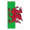 AOOEDM Welsh Flag Hand Towel, 70 x 40 cm, Absorbent, Made from Fine Fibers, Washcloth for the Bathroom view 1