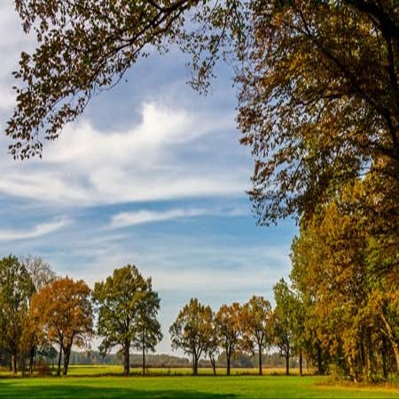adrium Aluminum Composite Picture 60 x 40 cm: Cleaning Up in Autumn (101444870)