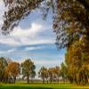 adrium Aluminum Composite Picture 60 x 40 cm: Cleaning Up in Autumn (101444870) view 1