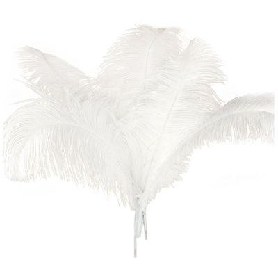 Trjgtas 10-Pack Natural Ostrich Feathers for Wedding Party Decor, White, 45–50 cm