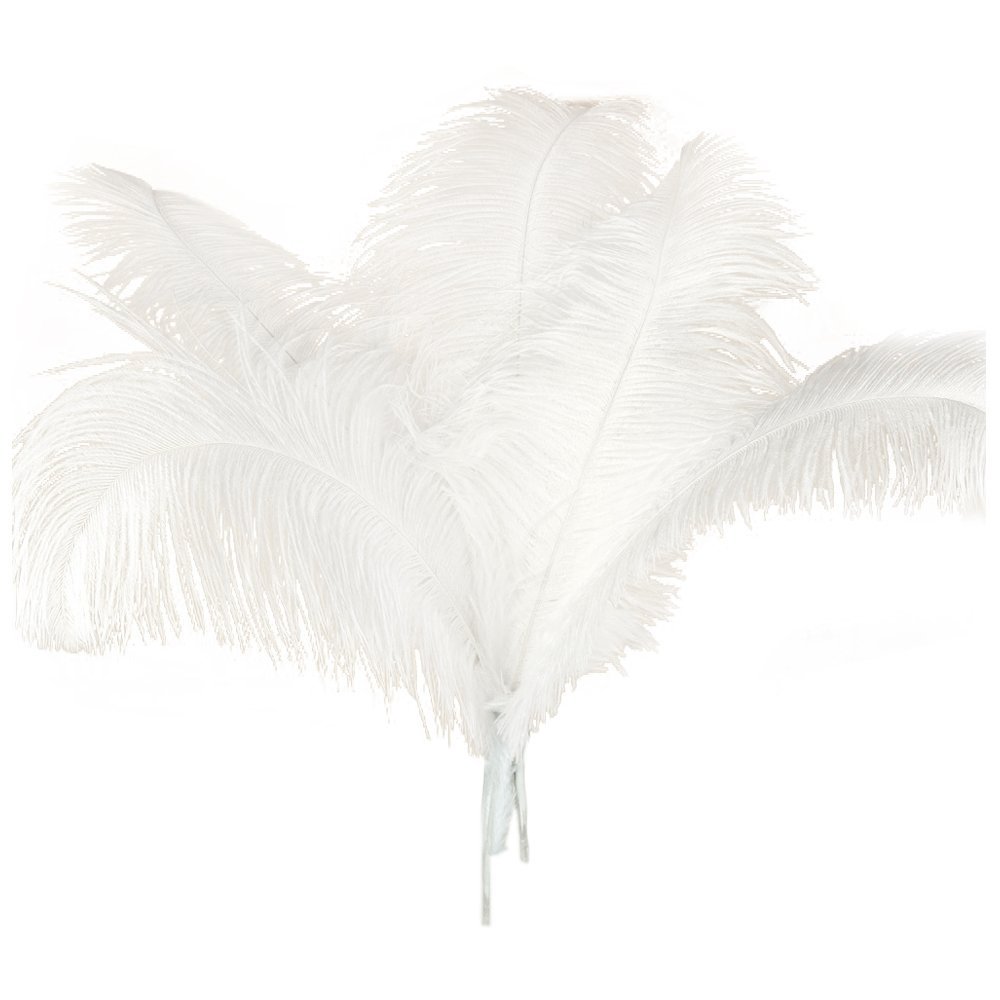 Trjgtas 10-Pack Natural Ostrich Feathers for Wedding Party Decor, White, 45–50 cm