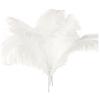Trjgtas 10-Pack Natural Ostrich Feathers for Wedding Party Decor, White, 45–50 cm view 1
