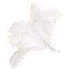 Trjgtas 10-Pack Natural Ostrich Feathers for Wedding Party Decor, White, 45–50 cm view 2