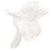 Trjgtas 10-Pack Natural Ostrich Feathers for Wedding Party Decor, White, 45–50 cm view 3