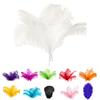 Trjgtas 10-Pack Natural Ostrich Feathers for Wedding Party Decor, White, 45–50 cm view 4