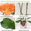 CXGS Artificial Orchid with Ceramic Vase, Real-Touch Phalaenopsis, 50 cm, Orange view 2