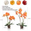 CXGS Artificial Orchid with Ceramic Vase, Real-Touch Phalaenopsis, 50 cm, Orange view 3
