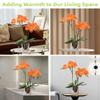 CXGS Artificial Orchid with Ceramic Vase, Real-Touch Phalaenopsis, 50 cm, Orange view 4