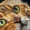The Gold Bengal Cat Fleece Throw Blanket for Couch, Lightweight, Plush view 2