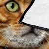 The Gold Bengal Cat Fleece Throw Blanket for Couch, Lightweight, Plush view 3