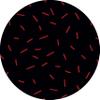 Bonateks Round Printed Mouse Pad, 22 cm view 1